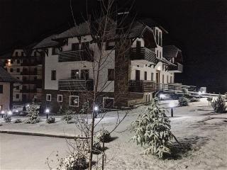 Zlatibor Hills Studio - 9