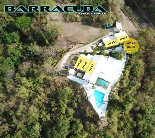 Barracuda apartments - Sámara - 7