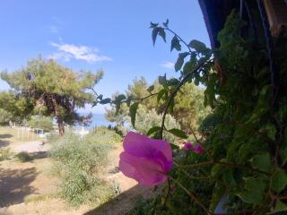 Rainbow Bay Ozdere Beach Hotel - Özdere - 2
