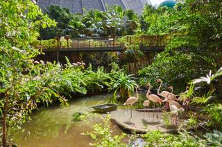 Tropical Islands - Krausnick - 6