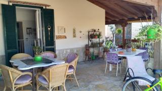 Gecko's House - 3