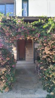 Gecko's House - 1