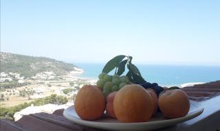 B&B Villa Passiaturo - Peschici - 1