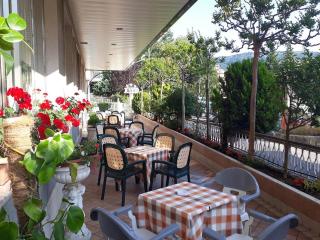 Hotel Fleming - Fiuggi - 8