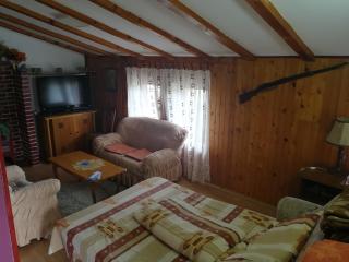 Apartmani Teodor - Soko Banja - 8