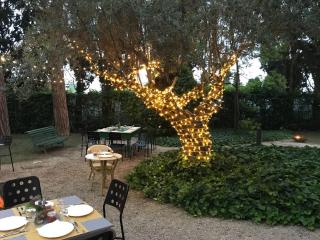 Villa Rosella Resort - Roseto degli Abruzzi - 7