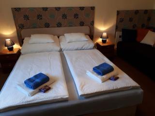 Hungarian Farmhouse - 8