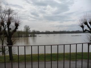En bord de Loire - Pouilly-sur-Loire - 1