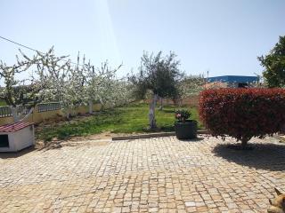 Joaquim do Norte - 5