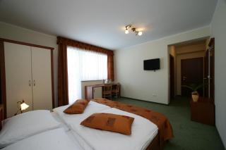 Hotel Aqua Roma - Rimske Toplice - 7