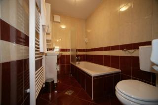 Hotel Aqua Roma - Rimske Toplice - 6