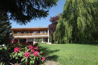 Gîte Domaine des Iris - Anould - 1