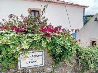Casa do Cravo - Santo Isidoro - 7