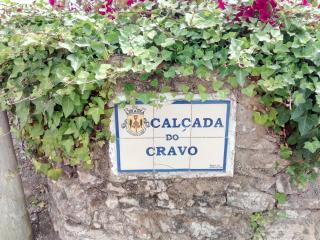 Casa do Cravo - Santo Isidoro - 6