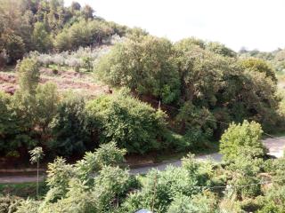 Casa Elena - Amaroni - 6