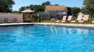 Viking Shores Motor Inn - Eastham - 7