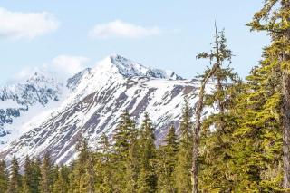 Iris Pond - Girdwood - 5