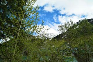 Snowbird Chalet #5 - Girdwood - 1