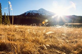 41 Hidden Village - Big Sky - 5