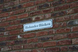 Holunder Hüsken - Oberlangen - 4