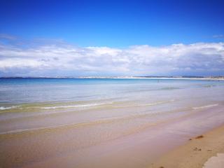 Peniche's Blue & Yellow - Peniche - 2