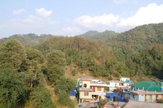 Hotel city forest - 2