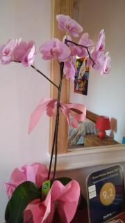 Appartamento La Chiocciola - 1