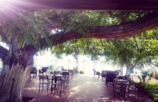 Apartmani Alex Beach - 4