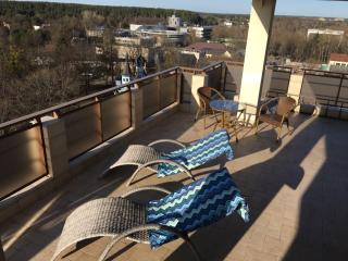 Panorama Apartment - Druskininkai - 5