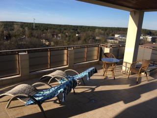 Panorama Apartment - Druskininkai - 8