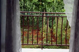 Apartment Vera - Umag - 2