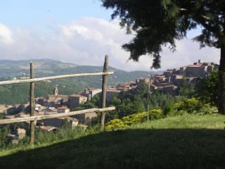 Agriturismo "Apparitoio" - Montelaterone - 9