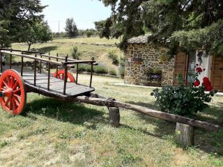 Agriturismo "Apparitoio" - Montelaterone - 7