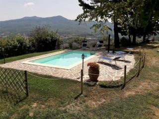 Agriturismo "Apparitoio" - Montelaterone - 2