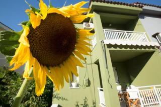 Marietta's Townhouse - Argostoli - 4