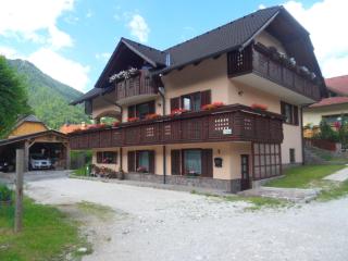 Apartma Slavc - Kranjska Gora - 2