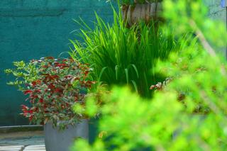 Seasand Holiday Home - 3