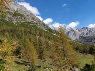 Ferienwohnungen Vierthaler - 3