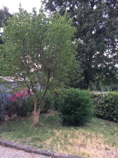 Treggiaia-poggio al paradiso - 5