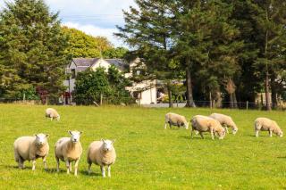 Langdon Farm Guest House - Saundersfoot - 7