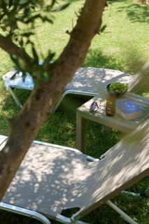 Olive Garden Holiday Home steps to Beach 1 - Kato Daratso - 7