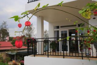 Lavini Đà Lạt House and Apartment - Da Lat - 3