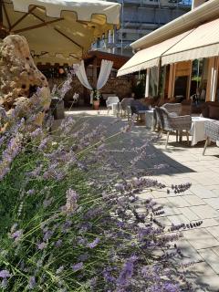 Hotel Euromar - 6