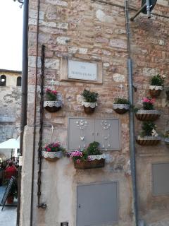 Residenza Frenguelli - Spello - 7