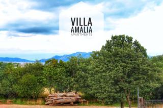 Apartment Amalia - 6