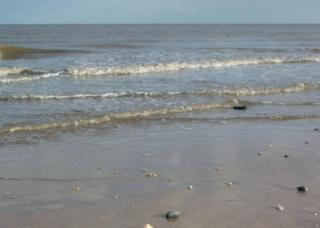 Esplanade Hotel - Clacton-on-Sea - 1