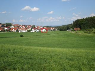 Ferienwohnung Waldblick - Neukirch - 8