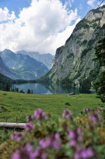 Landhaus am Waldrand - Ramsau - 7