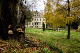 Pałac Rząsiny - Gryfów Śląski - 3