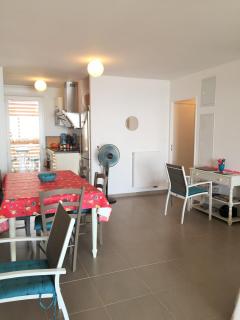 Meuble de tourisme classé, climatisation, pieds dans l'eau - Palavas-les-Flots - 4